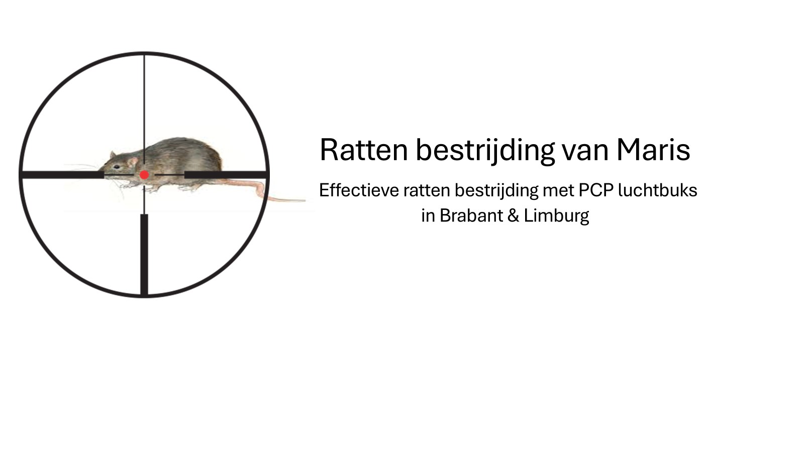 rattenbestrijdingvanmaris.nl
