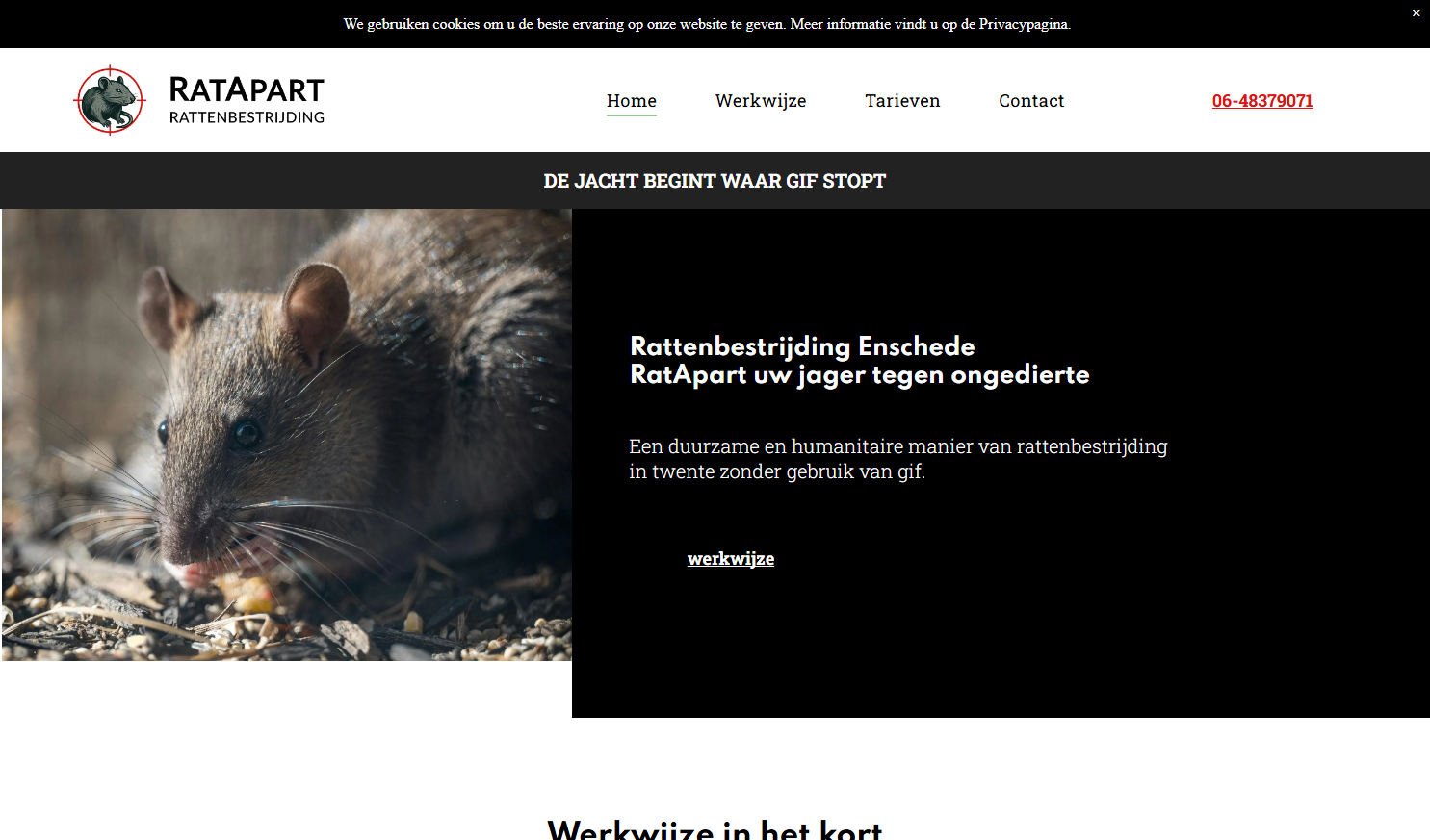 RatApart